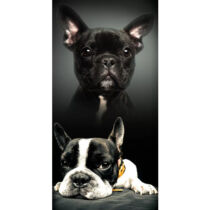 Francia Bulldog mintás törölköző - fekete