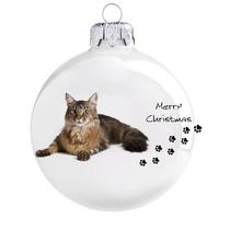 Maine Coon karácsonyfadísz