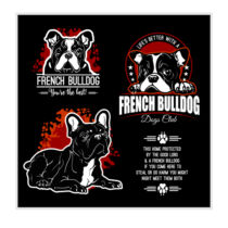 Francia Bulldog takaró - the best