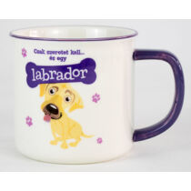 Labrador bögre - w&w