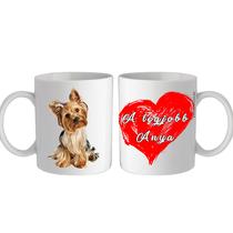 Yorkshire terrier bögre - a legjobb Anya