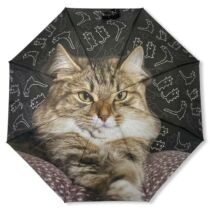 Maine Coon cicás esernyő
