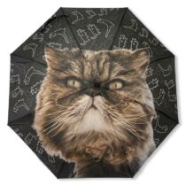Perzsa macskás esernyő