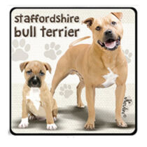 Stafforshire Bull Terrier hűtőmágnes