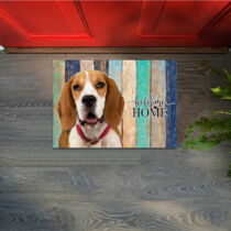 Beagle mintás lábtörlő - welcome