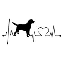 EKG Labrador matrica
