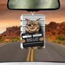 Macskás autóillatosító 