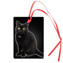 Fekete macska autóillatosító