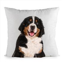 Berni pásztor mintás párna - puppy