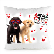 Labrador kutyás párna - my dog is my valentine