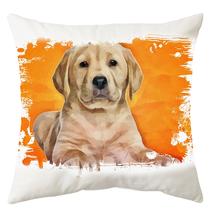 Labrador mintás párna - paint orange