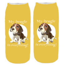 Beagle zokni - everything