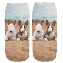 Bullterrier mintás zokni - puppy