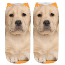 Labrador mintás zokni - narancs