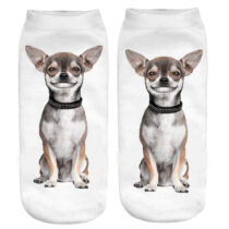 Chihuahua zokni - vigyori
