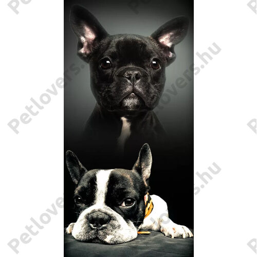 Francia Bulldog mintás törölköző - fekete
