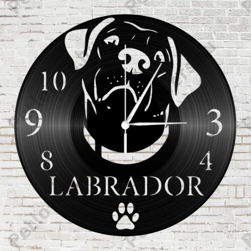 Labrador falióra 2