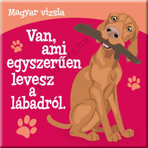 Magyar vizsla hűtőmágnes - w&w