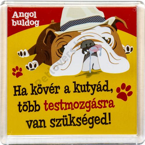 Angol Bulldog hűtőmágnes - w&w