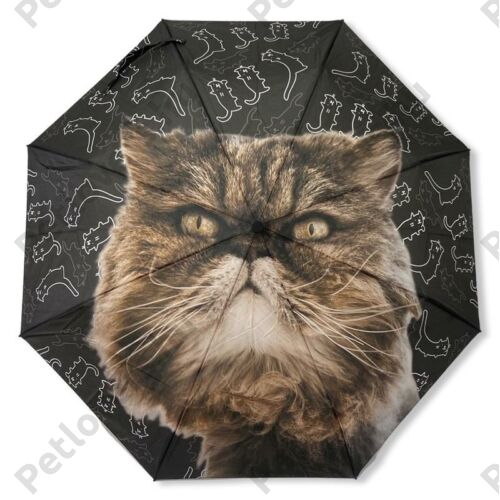 Perzsa macskás esernyő