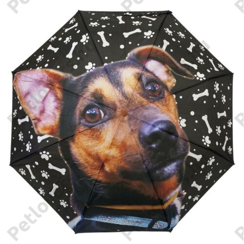 Pinscher kutyás esernyő