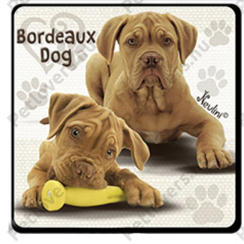 Bordeaux dog hűtőmágnes