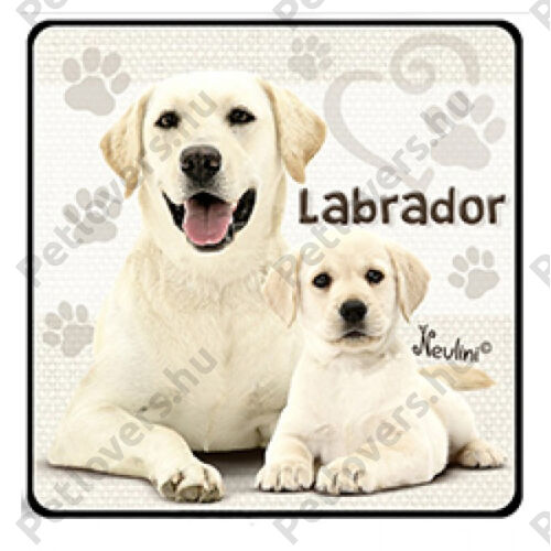 Labrador hűtőmágnes