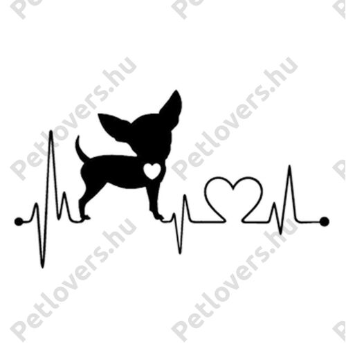 EKG Chihuahua matrica