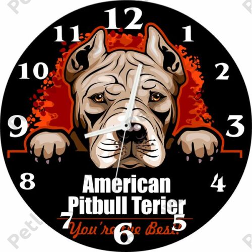 American Pitbull Terrier üveg falióra 30 cm