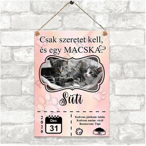 Cicás emléktábla