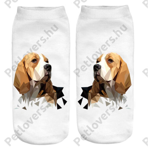 Beagle zokni - art
