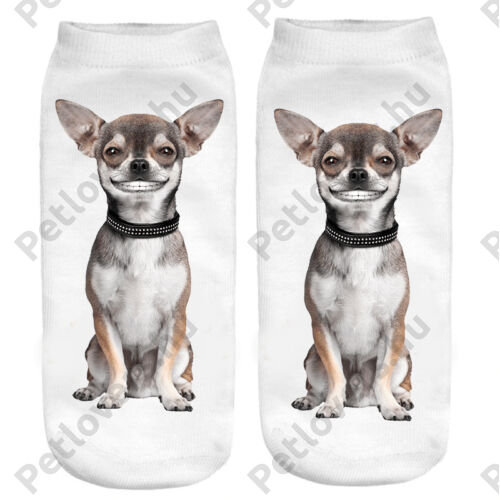 Chihuahua zokni - vigyori