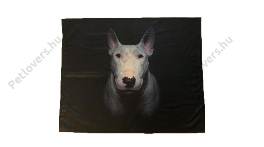 bullterrier látvány)